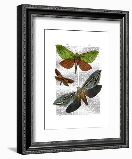 Butterflies 3-Fab Funky-Framed Art Print