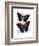 Butterflies 4-Fab Funky-Framed Art Print