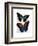 Butterflies 4-Fab Funky-Framed Art Print