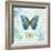 Butterflies and Botanicals 1-Christopher James-Framed Premium Giclee Print