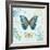 Butterflies and Botanicals 1-Christopher James-Framed Art Print