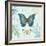 Butterflies and Botanicals 1-Christopher James-Framed Art Print