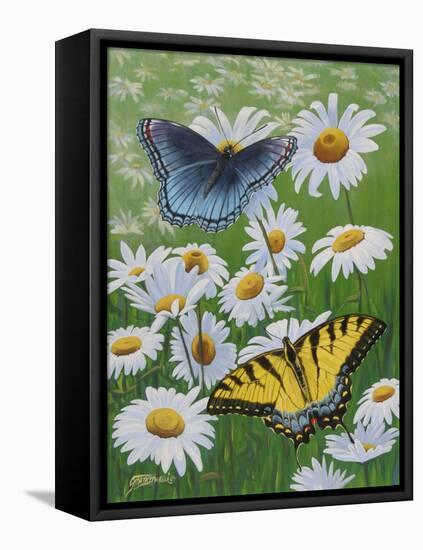 Butterflies and Daisies-Fred Szatkowski-Framed Stretched Canvas