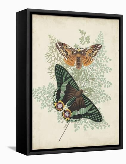 Butterflies and Ferns I-Vision Studio-Framed Stretched Canvas