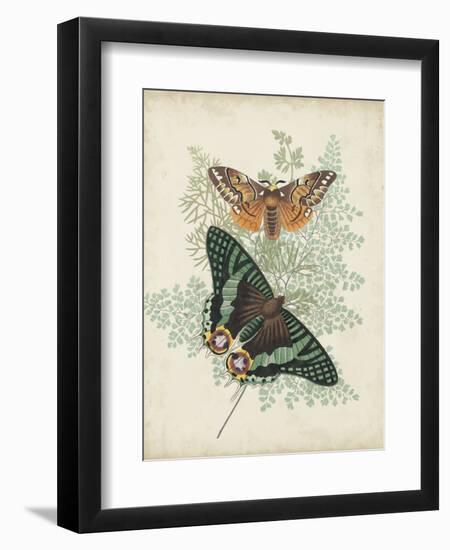 Butterflies and Ferns I-Vision Studio-Framed Premium Giclee Print