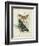 Butterflies and Ferns I-Vision Studio-Framed Premium Giclee Print