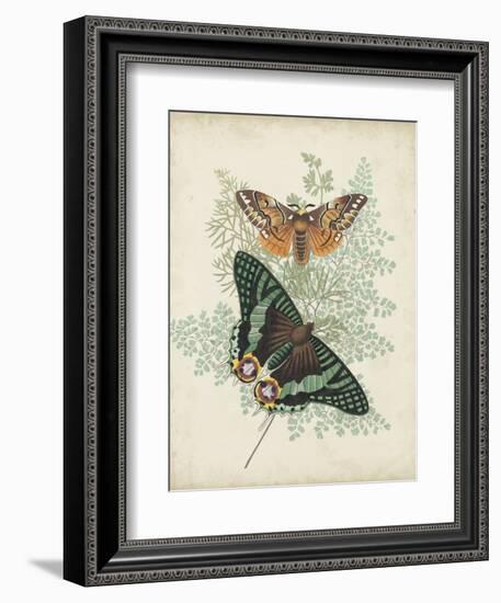 Butterflies and Ferns I-Vision Studio-Framed Premium Giclee Print