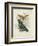 Butterflies and Ferns I-Vision Studio-Framed Premium Giclee Print