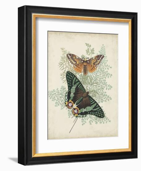 Butterflies and Ferns I-Vision Studio-Framed Premium Giclee Print
