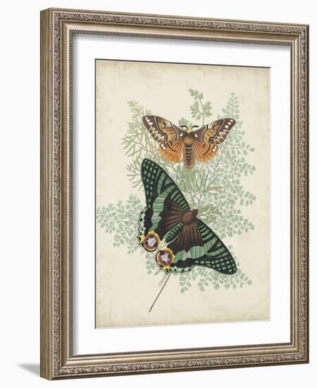 Butterflies and Ferns I-Vision Studio-Framed Art Print