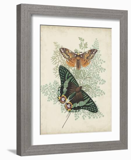 Butterflies and Ferns I-Vision Studio-Framed Art Print