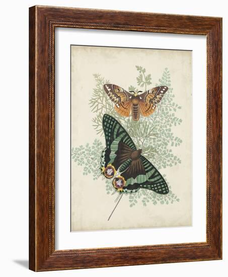 Butterflies and Ferns I-Vision Studio-Framed Art Print