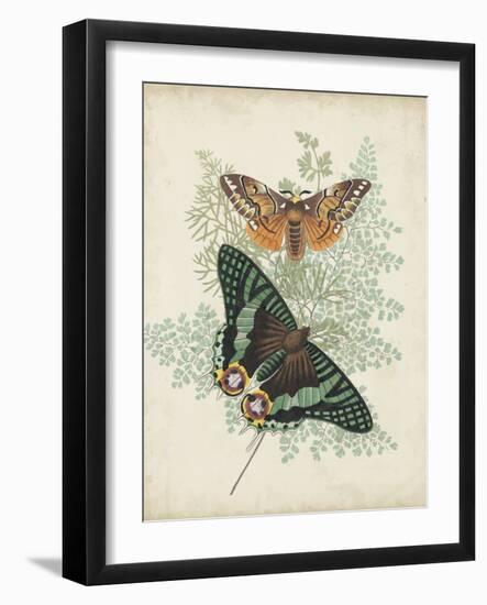 Butterflies and Ferns I-Vision Studio-Framed Art Print