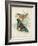 Butterflies and Ferns I-Vision Studio-Framed Art Print