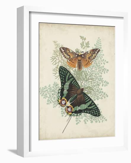 Butterflies and Ferns I-Vision Studio-Framed Art Print