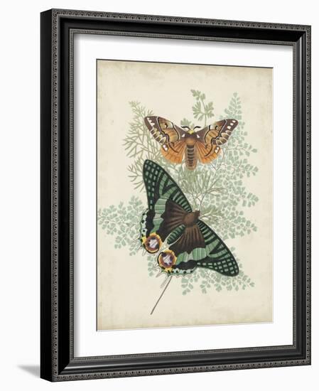 Butterflies and Ferns I-Vision Studio-Framed Art Print