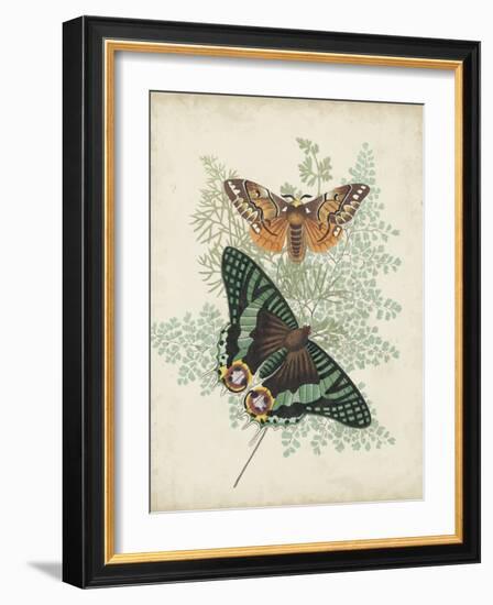 Butterflies and Ferns I-Vision Studio-Framed Art Print