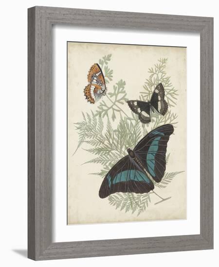 Butterflies and Ferns II-Vision Studio-Framed Art Print