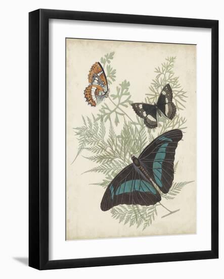 Butterflies and Ferns II-Vision Studio-Framed Art Print