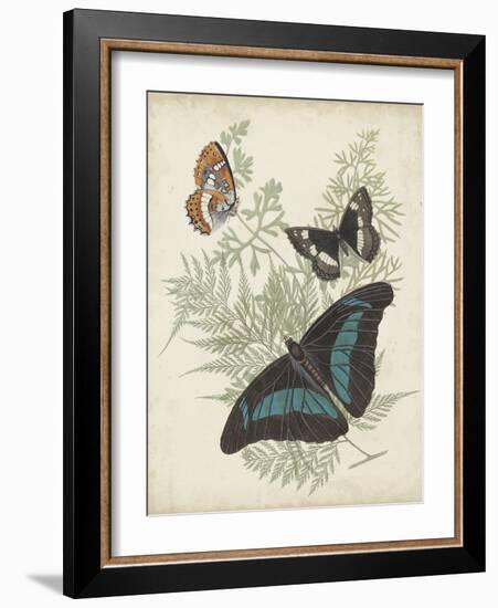 Butterflies and Ferns II-Vision Studio-Framed Art Print