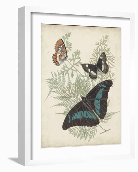 Butterflies and Ferns II-Vision Studio-Framed Art Print