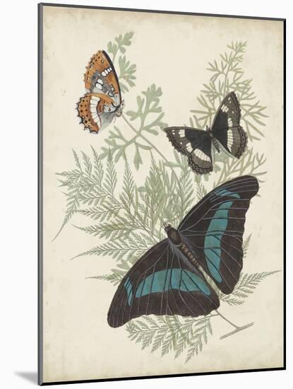 Butterflies and Ferns II-Vision Studio-Mounted Art Print