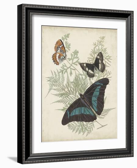 Butterflies and Ferns II-Vision Studio-Framed Art Print