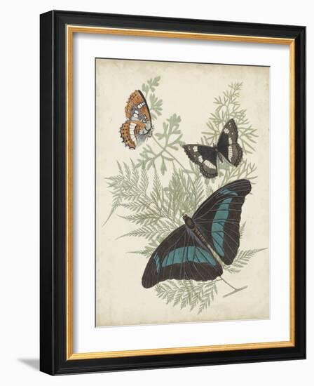 Butterflies and Ferns II-Vision Studio-Framed Art Print