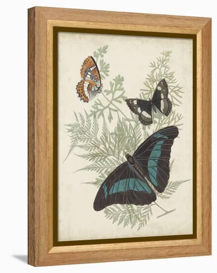 Butterflies and Ferns II-Vision Studio-Framed Stretched Canvas