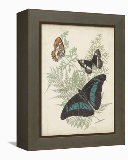 Butterflies and Ferns II-Vision Studio-Framed Stretched Canvas