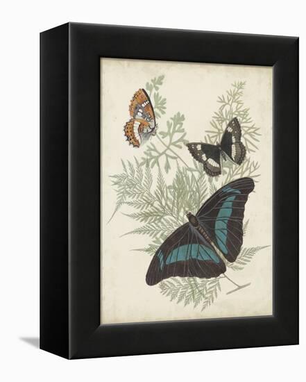 Butterflies and Ferns II-Vision Studio-Framed Stretched Canvas