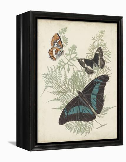 Butterflies and Ferns II-Vision Studio-Framed Stretched Canvas