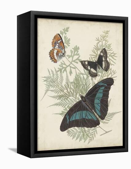 Butterflies and Ferns II-Vision Studio-Framed Stretched Canvas