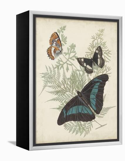 Butterflies and Ferns II-Vision Studio-Framed Stretched Canvas