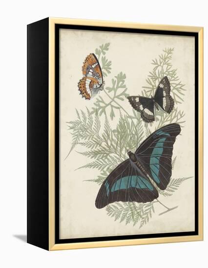 Butterflies and Ferns II-Vision Studio-Framed Stretched Canvas