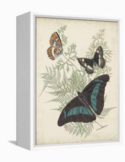 Butterflies and Ferns II-Vision Studio-Framed Stretched Canvas