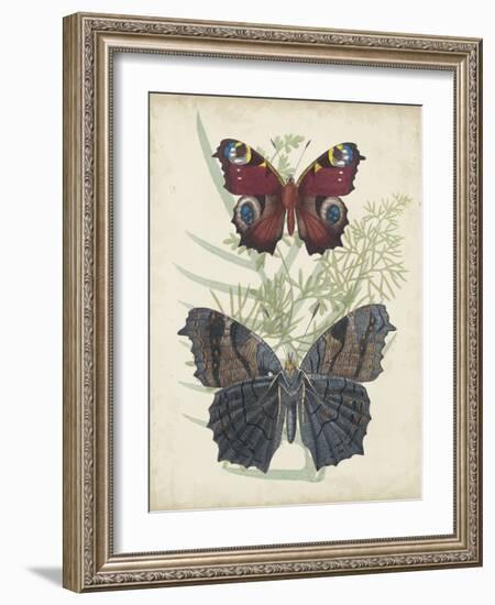 Butterflies and Ferns III-Vision Studio-Framed Art Print