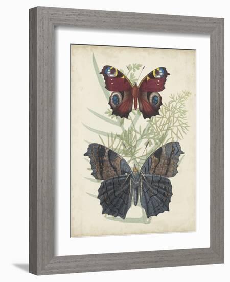 Butterflies and Ferns III-Vision Studio-Framed Art Print