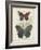 Butterflies and Ferns III-Vision Studio-Framed Art Print