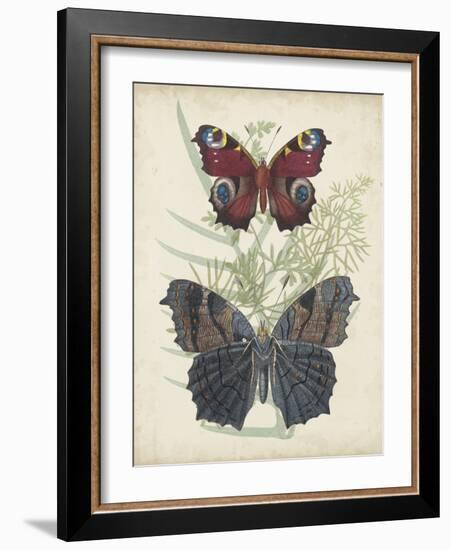 Butterflies and Ferns III-Vision Studio-Framed Art Print