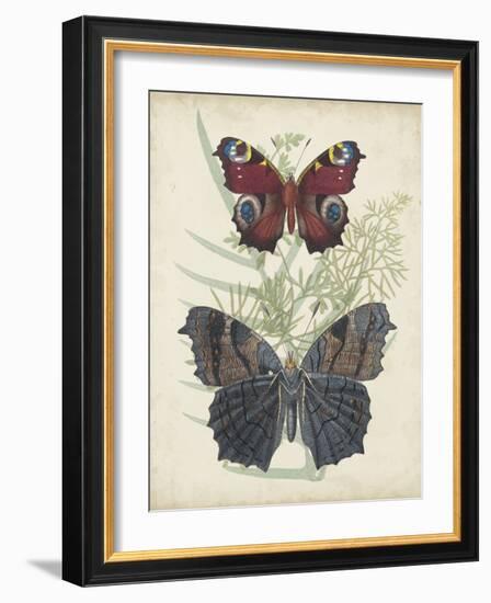 Butterflies and Ferns III-Vision Studio-Framed Art Print