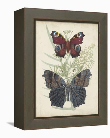 Butterflies and Ferns III-Vision Studio-Framed Stretched Canvas