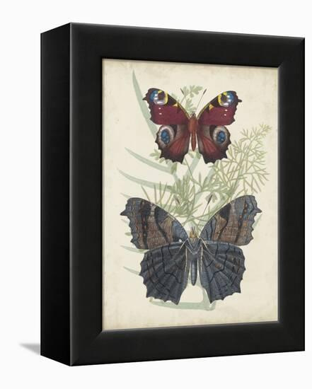 Butterflies and Ferns III-Vision Studio-Framed Stretched Canvas