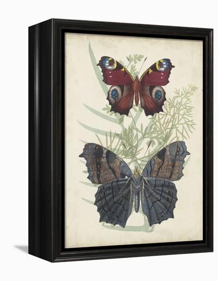 Butterflies and Ferns III-Vision Studio-Framed Stretched Canvas