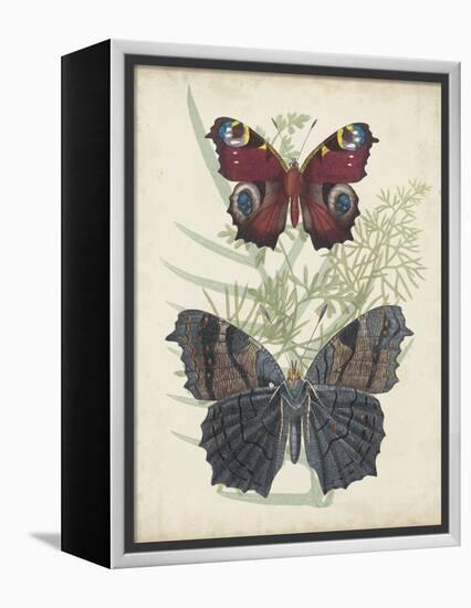 Butterflies and Ferns III-Vision Studio-Framed Stretched Canvas