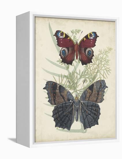 Butterflies and Ferns III-Vision Studio-Framed Stretched Canvas