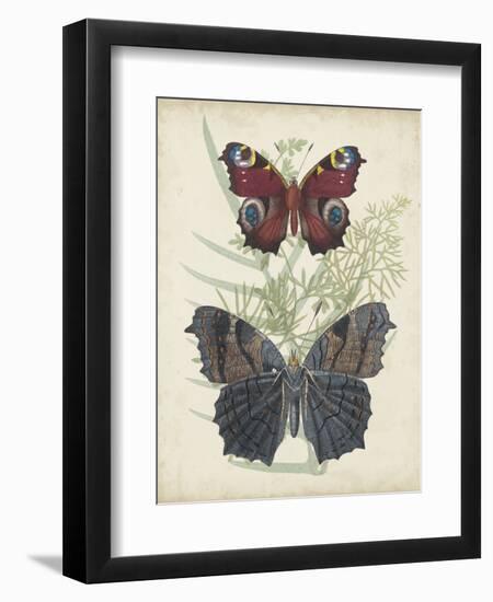 Butterflies and Ferns III-Vision Studio-Framed Art Print