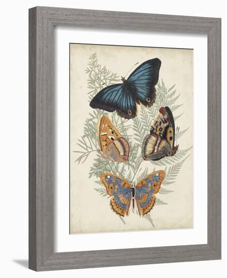 Butterflies and Ferns V-Vision Studio-Framed Art Print