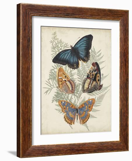 Butterflies and Ferns V-Vision Studio-Framed Art Print