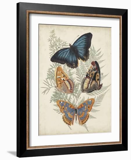 Butterflies and Ferns V-Vision Studio-Framed Art Print